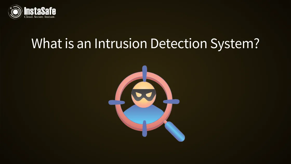 What is an Intrusion Detection System?