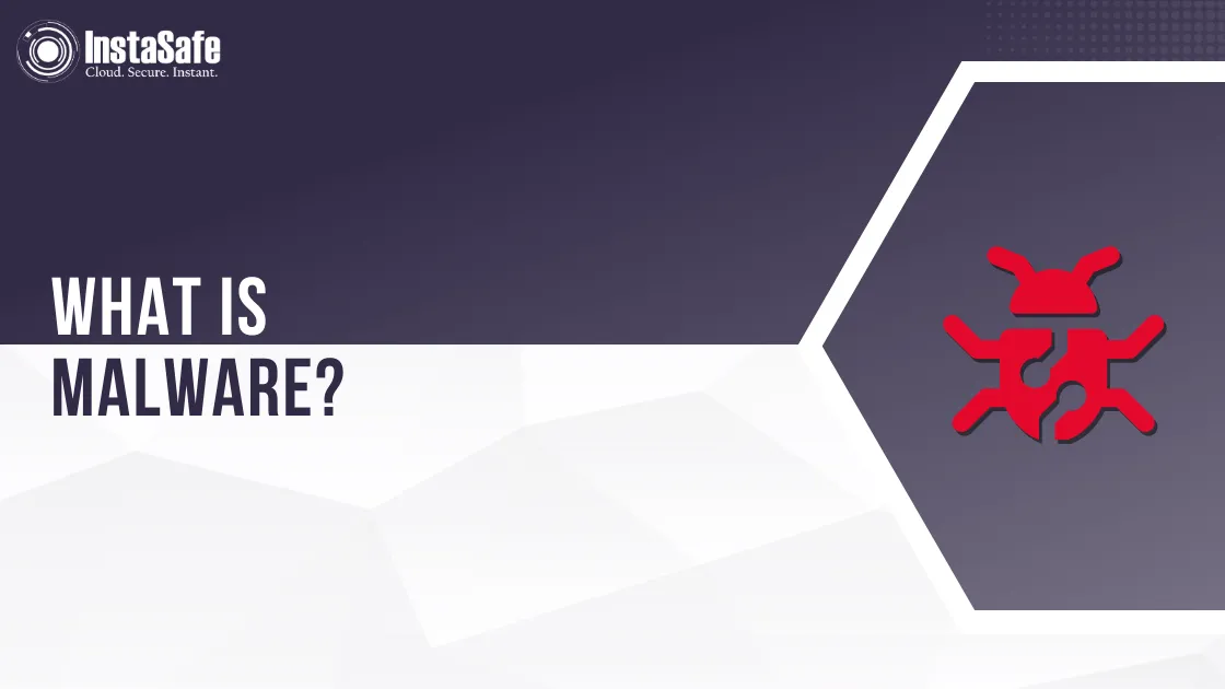 What is Malware?